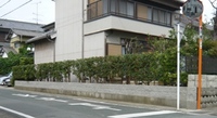 お金だけで、本当の満足が得られる？？？