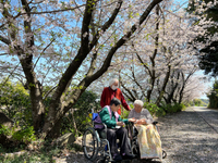 お花見に行きました 2023/03/31 20:18:19