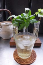 ストレス解消