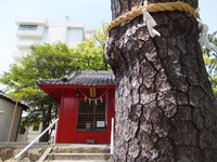 婚活世代の皆さんとの意見交換会。無料うな丼付き!? 2016/05/29 12:00:40