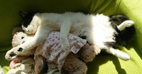 次回の予定☆ 2016/03/06 18:36:12