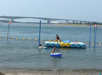 海デビュー 2018/08/07 08:26:00