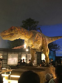 福井旅行と思い出 2018/08/30 11:46:32