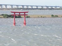 残り7日の挑戦、台風一過の浜名湖は高潮の中