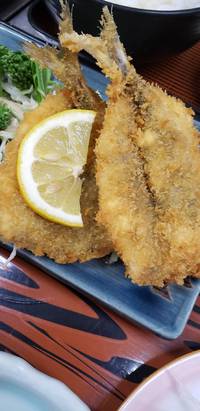 本日の日替わり定食 2020/06/08 12:41:21