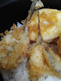 メゴチ天ぷら 2020/09/14 12:45:16