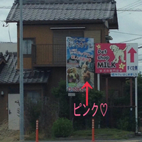 愛犬ピンク