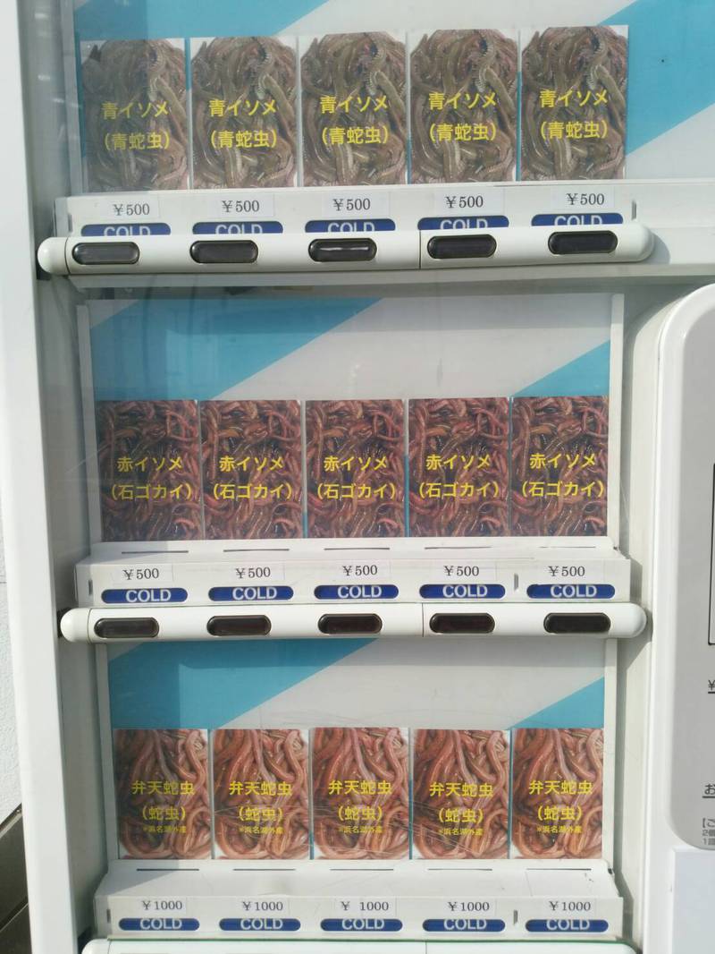 本日より釣りエサの自動販売機を営業再開です！