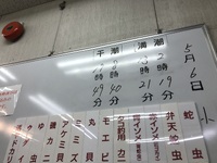 本日の入荷、エサ、潮見情報
… 2025/05/06 04:39:16