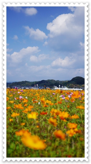 雨上がり 秋の空☆