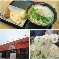 はなまる　うどん☆ 2009/12/03 15:25:31
