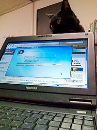 Internet Explorer 8☆ 2009/08/01 08:01:00