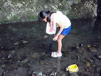 沢ガニ獲り☆ 2009/09/07 07:30:51