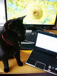 PCアップデート☆ 2009/08/22 13:14:29