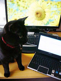 PCアップデート☆