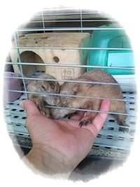 RGTさんにて☆ 2009/09/29 19:57:03