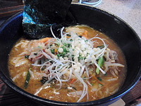 ひじょ～に怪しい 酸っぱいらーめん☆ 2009/08/27 13:45:41