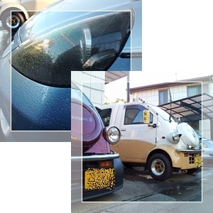 サムサニモマケズ洗車☆