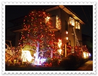 キタムラ 高速プリント☆ 2009/11/27 20:01:00