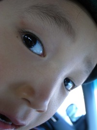 what is family. 2010/03/10 21:30:17