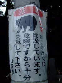 クマ出現！？