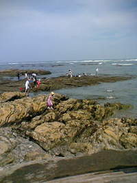 御前崎 2006/07/16 14:05:05