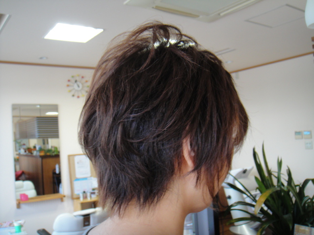 昨日のお客様☆
