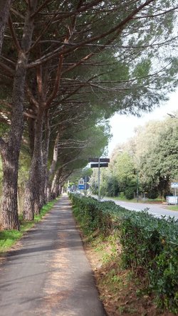 Castiglione della pescaia 三日目