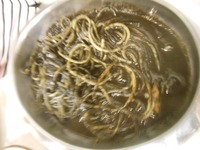 シチリア料理編　あまりに美味しかったので。。。
