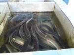 シチリア　Siracusaへ　その弐