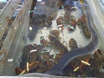 シチリア　Siracusaへ　その弐