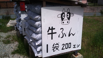 筍掘り☆