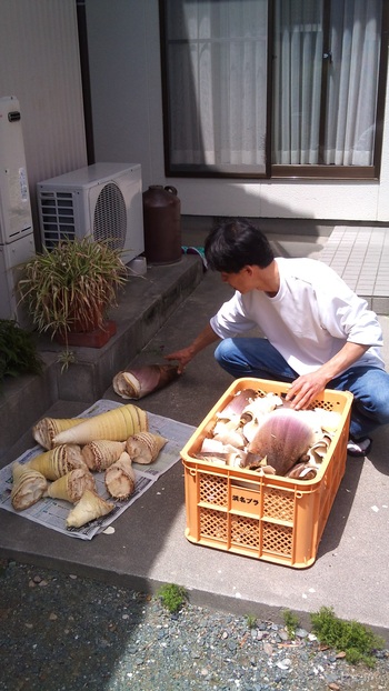 筍掘り☆