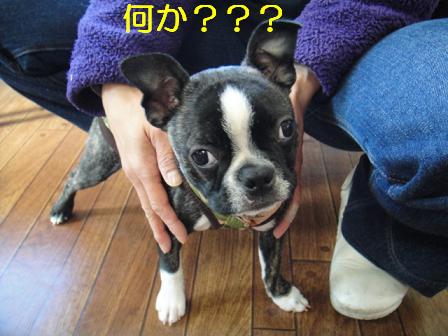 気がつけば…
