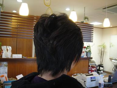 今日のお客様☆