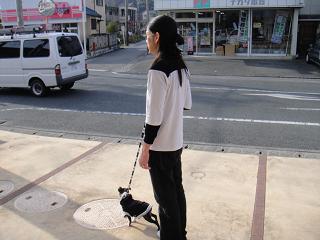 1/21　曇り