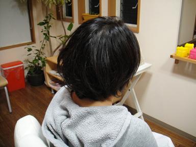 今日のお客様②