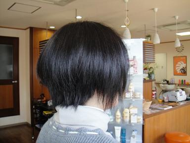 今日のお客様①