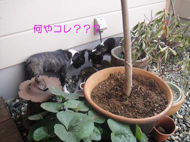 (-公- ;)　おいおい…