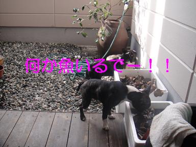 (-公- ;)　おいおい…