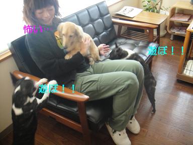 ２対１！！　（苦笑）