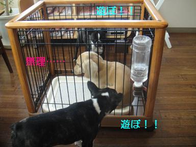 ２対１！！　（苦笑）