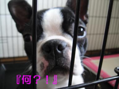 眠ぅ…（爆）