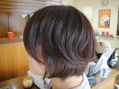 今日のお客様①