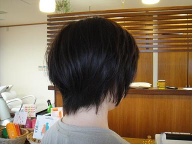 今日のお客様☆