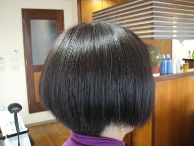 今日のお客様☆