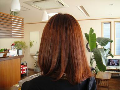 今日のお客様☆