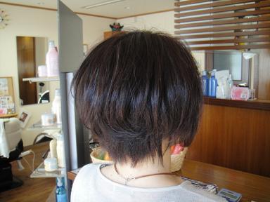 今日のお客様　①