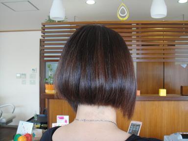 今日のお客様☆