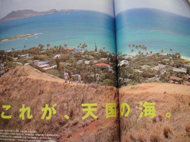 THE HAWAII BOOK☆